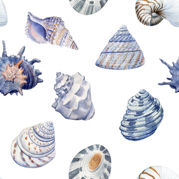 Watercolor Seamless pattern with seashells illustration hand drawn painting, nautical wallpaper summer marine background