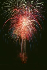 Vertical shot of vibrant, colorful fireworks exploding in the darkness at night