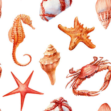 Watercolor sea summer seamless pattern. Underwater creatures, crab, starfish, sea shell, coral, Marine background design