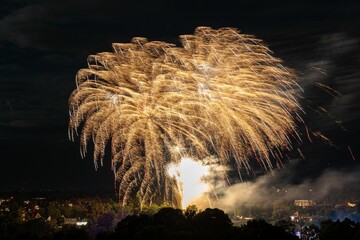 Beautiful shot of exploding colorful fireworks in a night sky