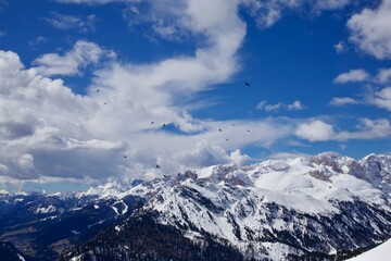 Naklejka premium snow covered mountains