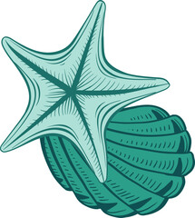Marine Star and Seashell - 779594014