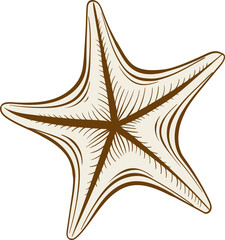 Brown Marine Star - 779594015