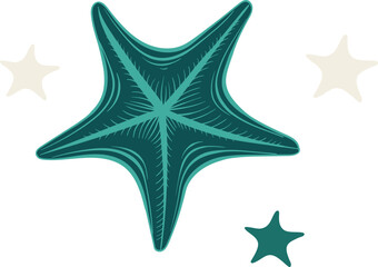 Turquoise Marine Stars