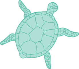 Marine Turtle - 779594052