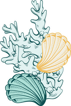 Marine Illustration with Coral and Seashells