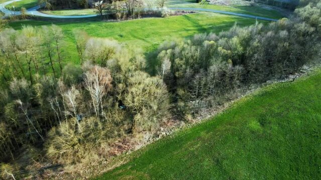 Aerial shot of a green field with grass and trees