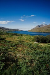 Vertical shot of the landscape at Connemara National Park in Ireland