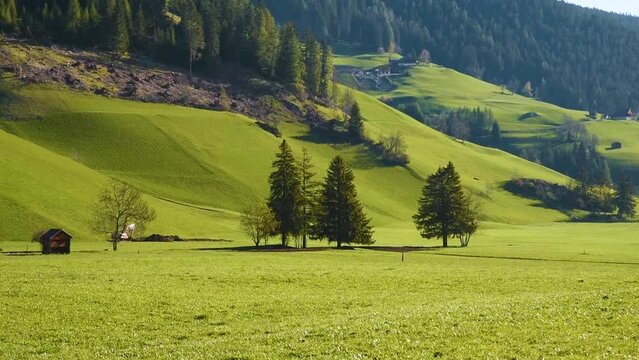 Spring rural sunny landscape of alpine meadow in Dolomites Alps with grassy hills and working agricultural machinery on the field, Villabassa, Dolomites, South Tyrol, Italy