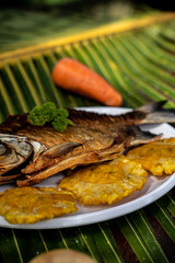 Beautiful shot of fried fish and tostones