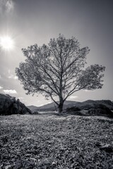Grayscale of a sunny landscape near a lake in Spain