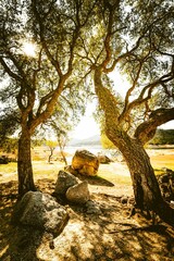 Sunny landscape near a lake in Spain
