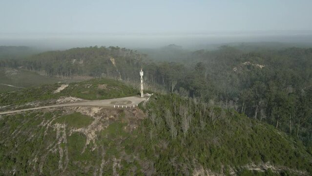 4k of the Pinhal de Leiria forests in Marinha Grande, Portugal on a foggy day