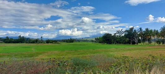 Panoramic view od meadow fields and mountains in distance in background under cloudy sky - obrazy, fototapety, plakaty