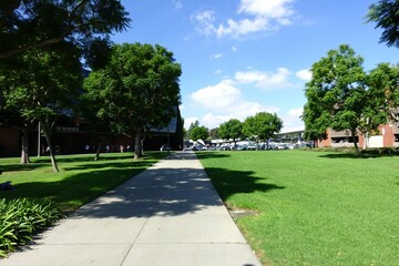 Pedestrian path in a park with green lawn and trees on a sunny day