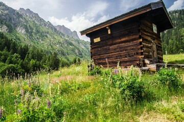 Cute small wooden house surrounded by green grass and mountains