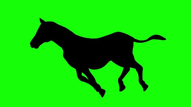 A silhouette of a zebra running on green screen, side view. Animal silhouettes, seamless loop 3D animation. You can easily remove the green screen with just one click using any video editor.