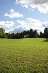 grass and sky