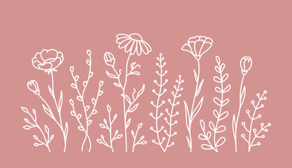 Botanical wildflowers pattern with meadow flowers
