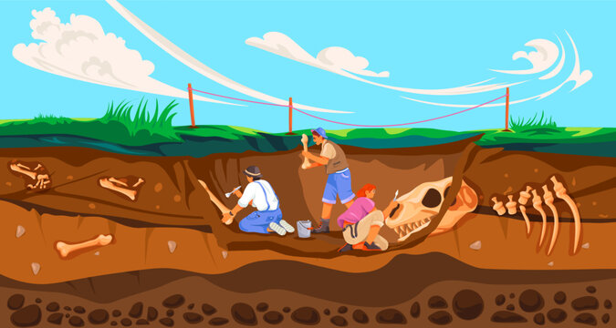 Archaeologist dig fossils. Archeological works, archaeology scientist digging fossil in soil, paleontology excavation study history artifacts discover, recent vector illustration