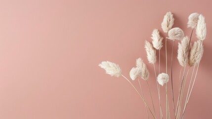 Soft pampas grass on pastel pink background