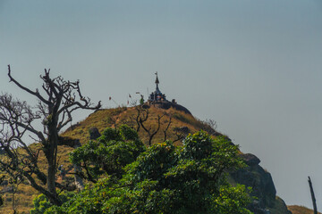 A mountain with a tree on top of it