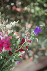 Flowers, bouquet, composition of beautiful fresh flowers with white, purple, pink, red and rose