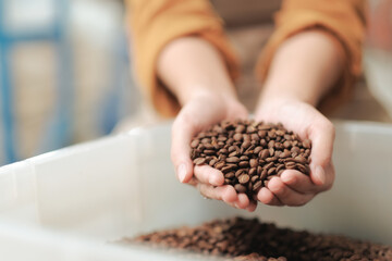 Close up worker is working in coffee roasting shop and checking coffee quality. Woman hand with...
