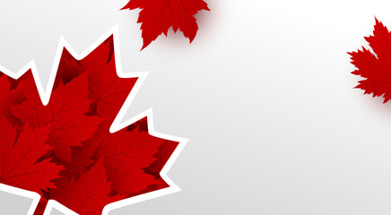 Fototapeta premium Canada day banner design of maple leaves on white background with copy space Vector illustration