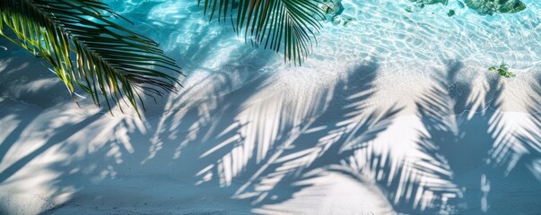 Tropical paradise: palm shadows on poolside