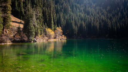 Crystal lake in autumn mountains. Colorful autumn season with turquoise water and yellow leaves....