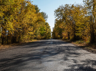 View of a rural road and colorful trees in autumn. Landscape with a roadway. Autumn forest with a country road. Journey. Autumn background.