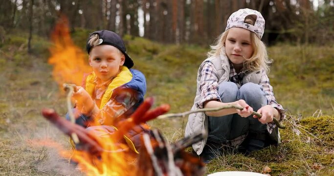 children frying sausages on skewers over a bonfire in forest. camping with kids