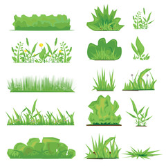Set of Grass vector elements on a white background
