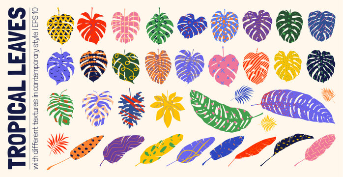 Set minimalistic naive unusual tropical leaves in matisse art style, Hand drawn silhouettes jungle plants branches with different textures, Botanical vector assets collection graphic bizarre elements