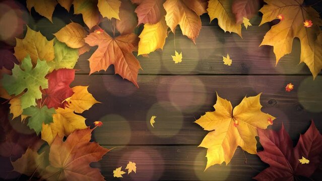 Circular Fall Glory: Orange and Yellow Leaves with Wood and Bokeh Effect - 4K Video Looping.