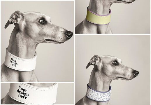 Mockup Pet Collar Dog Generated Ai