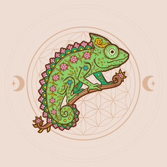 Chameleon mandala. Animal Vector illustration Ornamental flower in Zen boho style. Antistress lizard drawing. - 779639858