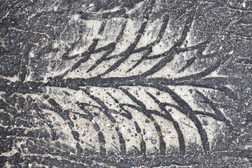Naklejka premium Tyre mark texture. Tire track on the road background. Melt asphalt imprint. Highway damaged with sunlight heat. Grunge street background. High heat summer asphalt. Destroyed damaged road.