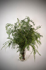 Naturaleza Primaveras flores jardín