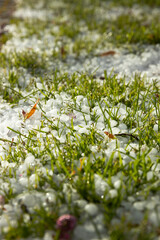 Hail in the grass. Hailstones. Cold. Ice. Snow. Ice shower.