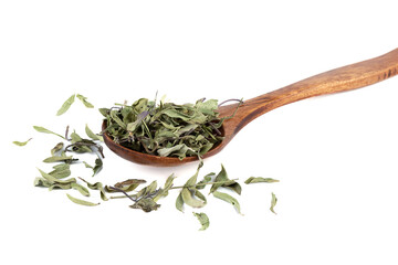 Dried thyme leaves in wooden spoon on white background.