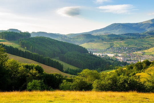 carpathian countryside scenery of ukraine on a sunny morning in summer. forest on the hills and town in the valley. borzhava mountain range in the far distance beneath bright blue sky