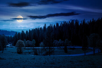 countryside scenery with forested mountains at night. asphalt country road winding through the valley in full moon light