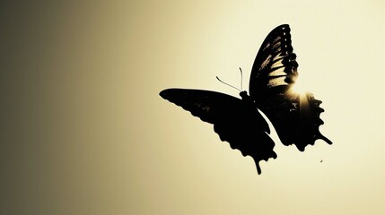 Butterfly Flight