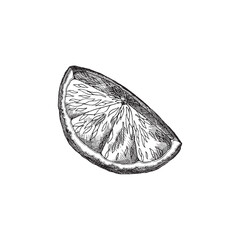 Lemon wedge sketch vector illustration