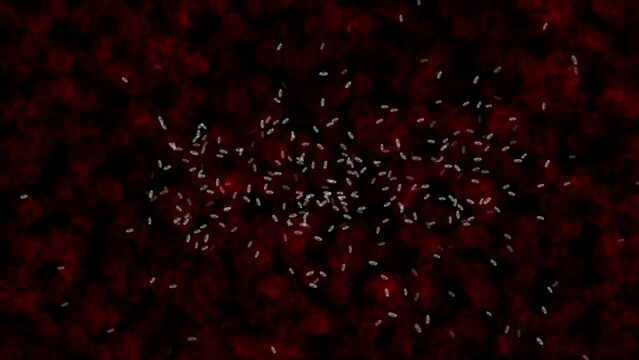 Microbes moving through the bloodstream