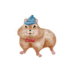 Watercolor hamster. Funny hamster isolated on white background. A gentleman hamster in a bow tie and cap. Illustration for nursery, stickers, greetings.