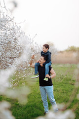 father rides child on neck surrounded by flowering trees, family and childhood