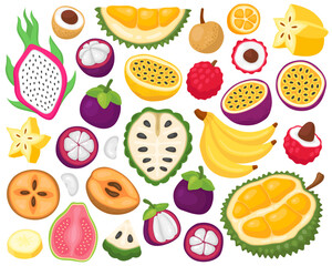 Various tropical exotic fruits on a white background. Banana, passion fruit, lychee, longan, mangosteen, durian, pitaya, dragon fruit, guava, carambola, sapodilla, annona. Summer illustration.